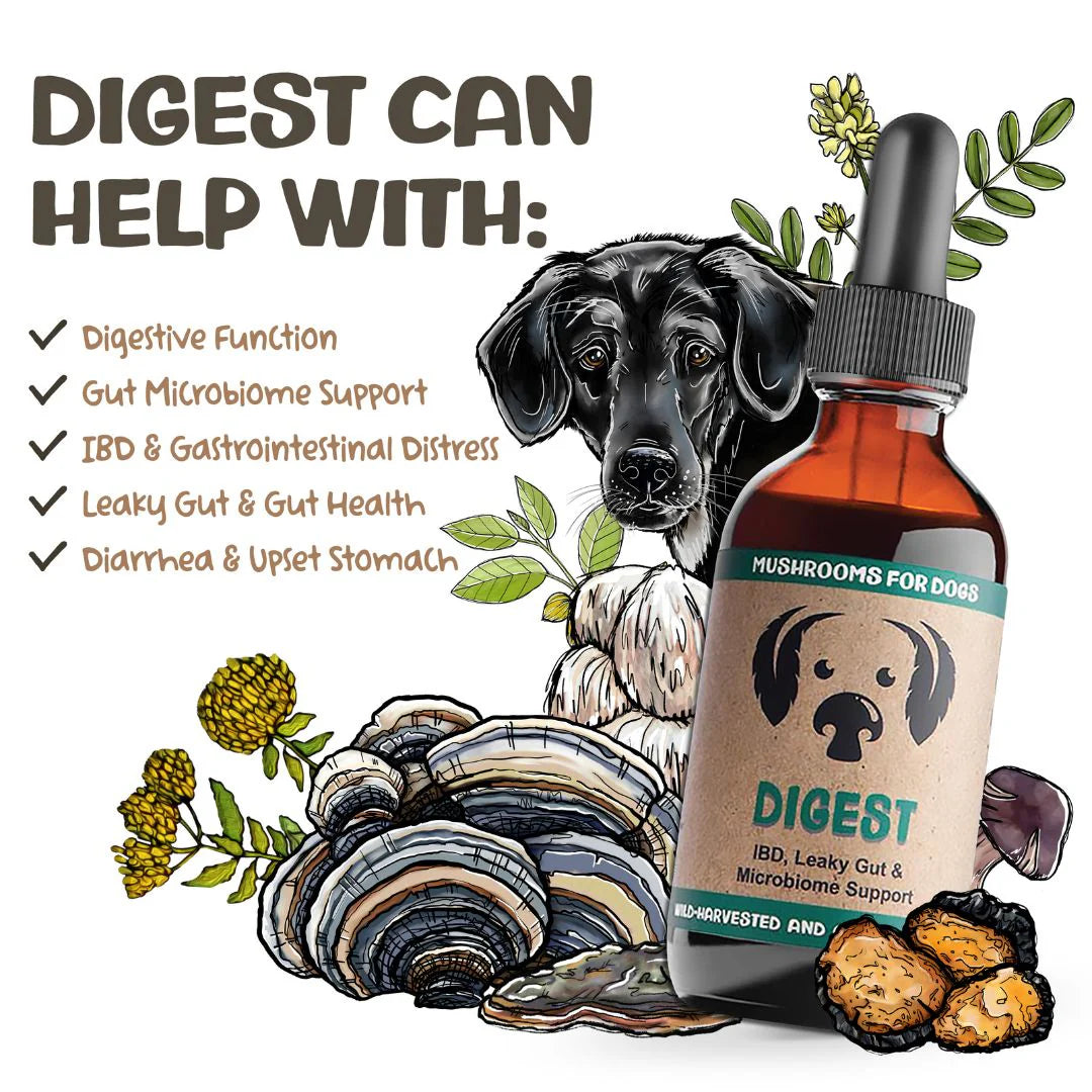 Mycodog Mushroom Tincture - Digest | 2oz