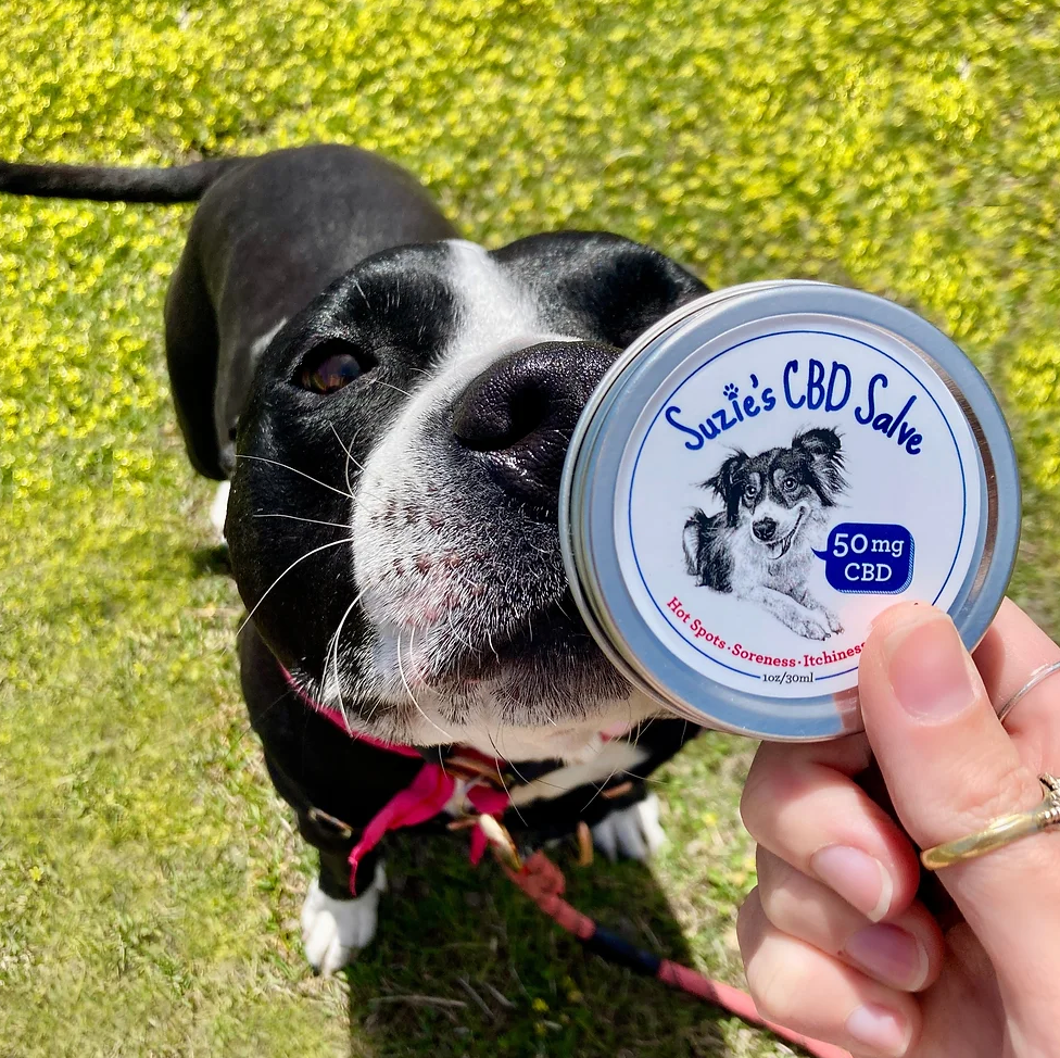 Suzie’s - CBD Salve 50mg | 1oz