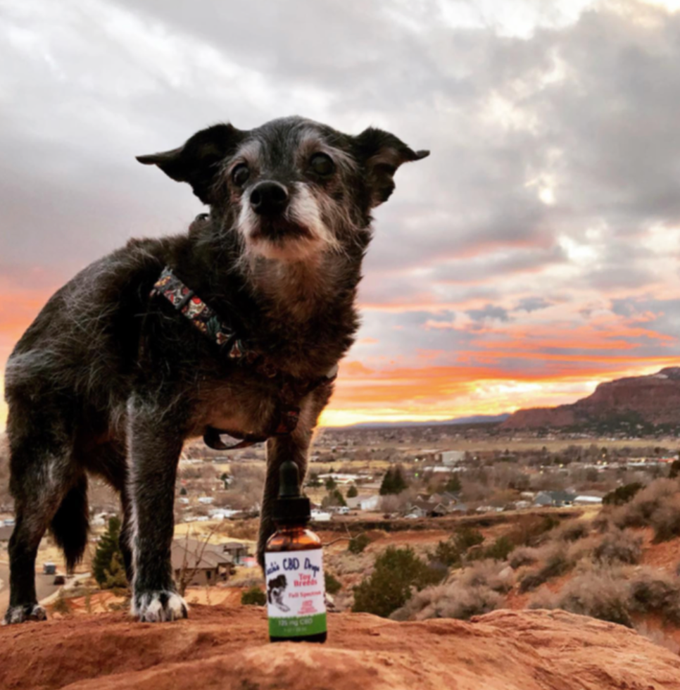Suzie's - USDA Organic Toy Breed CBD Oil | 125mg