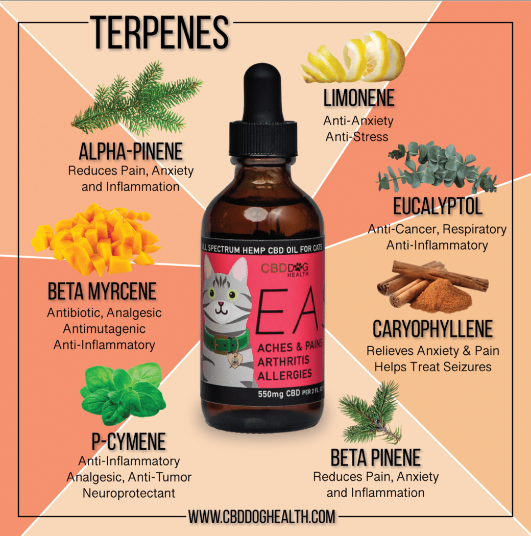 CBD Dog Health - Ease Oil for CATS 2oz | 550mg