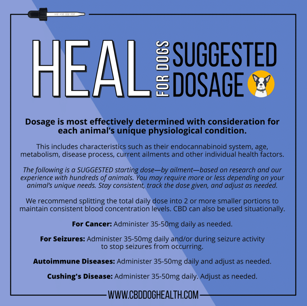 CBD Dog Health - Full Spectrum Heal Oil for CATS 1oz | 1,100mg