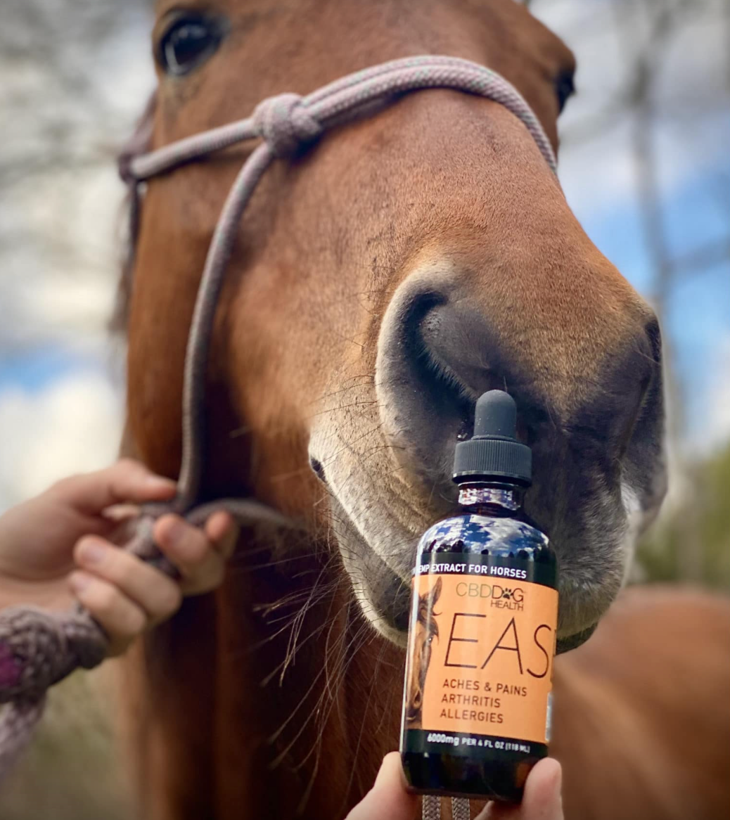CBD Dog Health - Ease Oil for HORSES 4oz | 6000mg