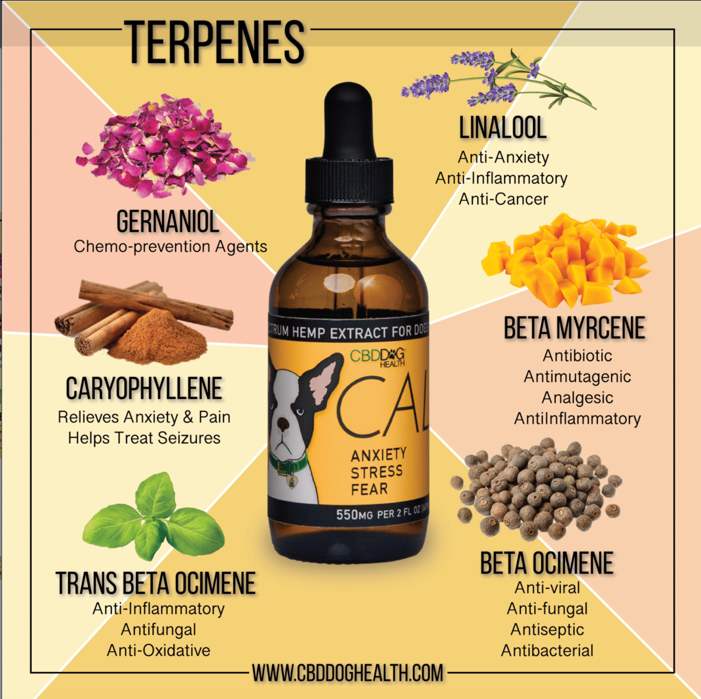 CBD Dog Health - Calm Oil for DOGS | 550mg/1100mg