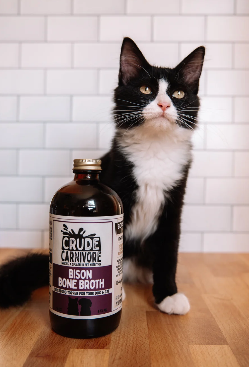 Crude Carnivore - Bison Broth | 16oz