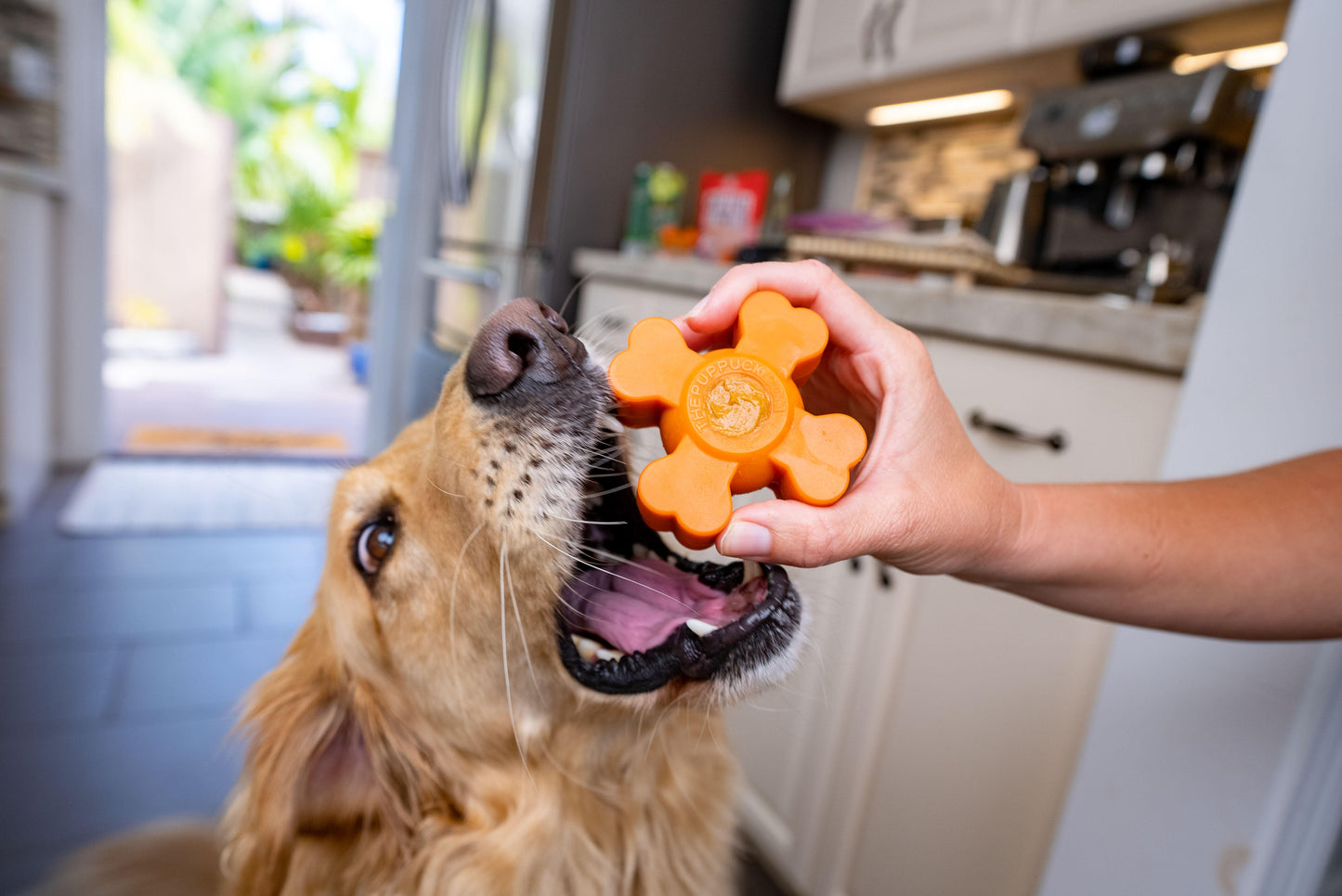 Pup Puck Bonez | 1ct