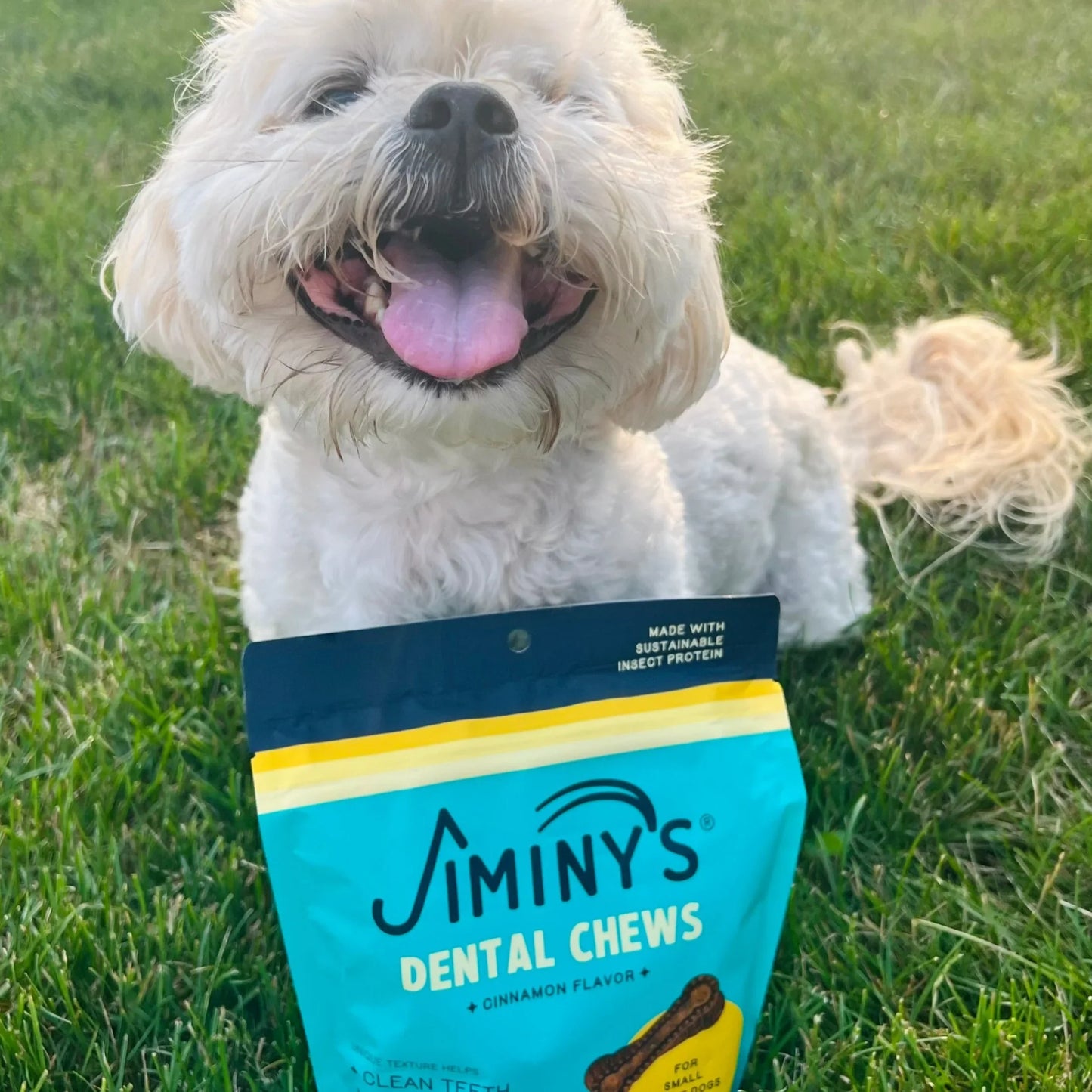 Jiminy's - Dental Chews - Medium | 12ct