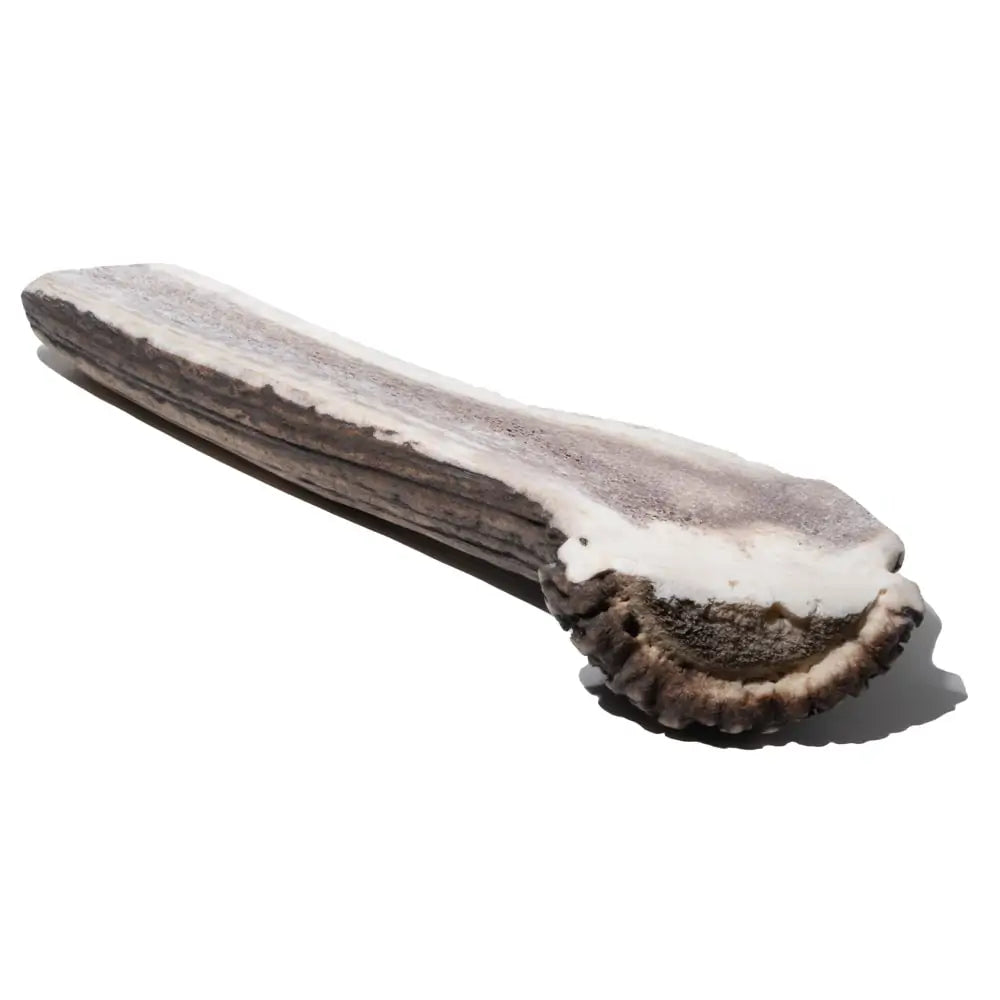 Mika & Sammy's - Split Antlers | 1 LB