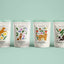 Botanical Bones Bundle Deal | 12ct mixed case