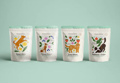 Botanical Bones Bundle Deal | 12ct mixed case