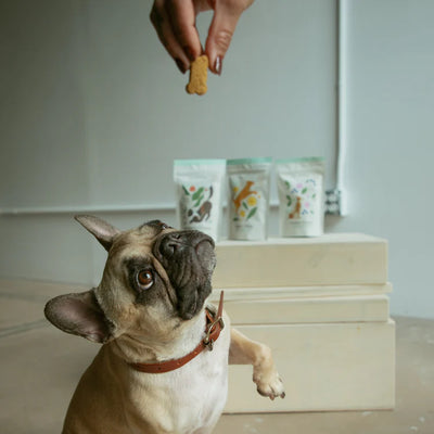 Botanical Bones Bundle Deal | 12ct mixed case