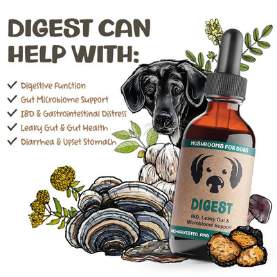 Mycodog Mushroom Tincture - Digest | 2oz