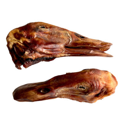 Girls Gone Raw - Duck Head | 10 count case