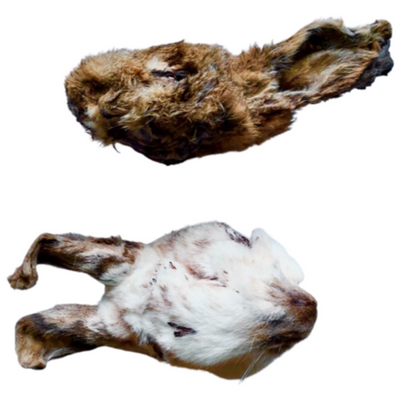 Girls Gone Raw - Rabbit Head | 10 count