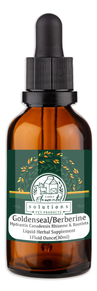 Solutions - Supplement Yeast/Fungal | 1oz Tincture