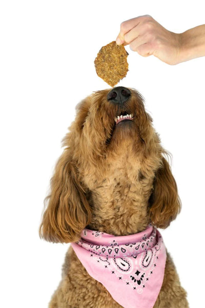 Winnie Lou - Lamb Crisps