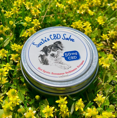 Suzie’s - CBD Salve 50mg | 1oz