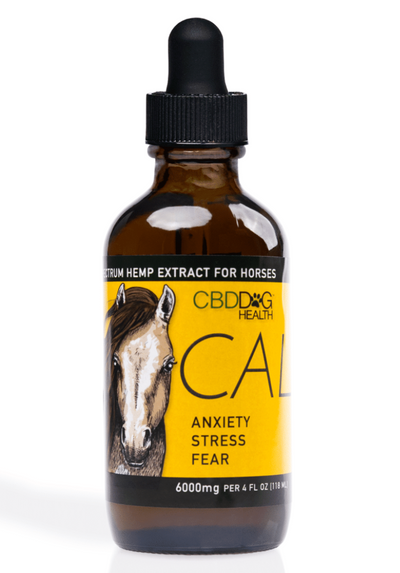 CBD Dog Health - Calm Oil For HORSES 4oz | 6000 mg