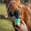 CBD Dog Health - Full Spectrum Heal Oil for HORSES 4oz | 10,000 mg