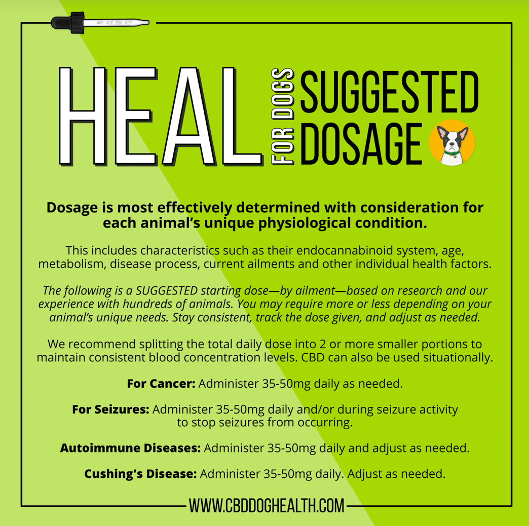 CBD Dog Health - Full Spectrum Heal Oil for DOGS 1oz | 1,100mg