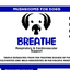 Mycodog Mushroom Tincture - Breathe | 2oz