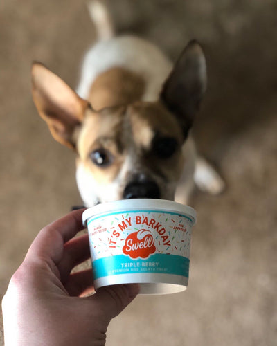 Swell - Barkday | 12 cup case