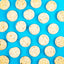 Winnie Lou - Zucchini Squash Biscuits | 4oz