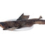 Scout and Zoe's - Carp Planks
