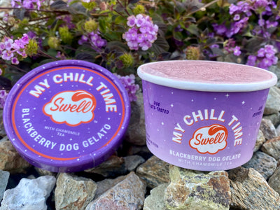 Swell - My Chill Time | 12 cup case