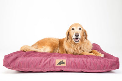 Roxbury Pet - Linden Lounger
