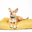 Roxbury Pet - Linden Lounger