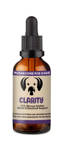 Mycodog Mushroom Tincture - Clarity | 2oz