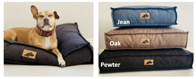 Roxbury Pet - Rexford Collection
