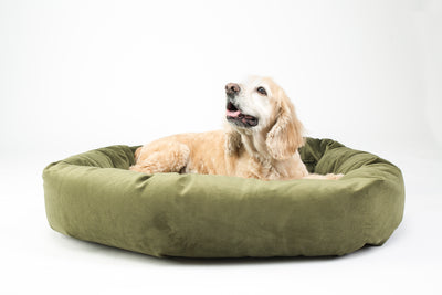 Roxbury Pet - Robertson Round