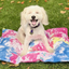Roxbury Pet - Sunset Mat