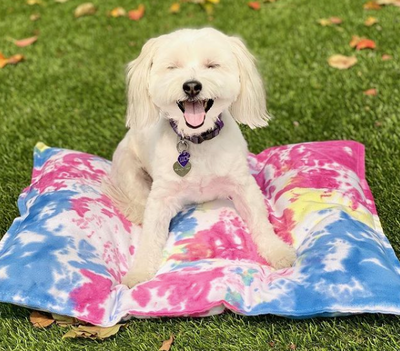 Roxbury Pet - Sunset Mat