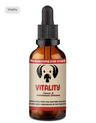 Mycodog Mushroom Tincture - Vitality | 2oz