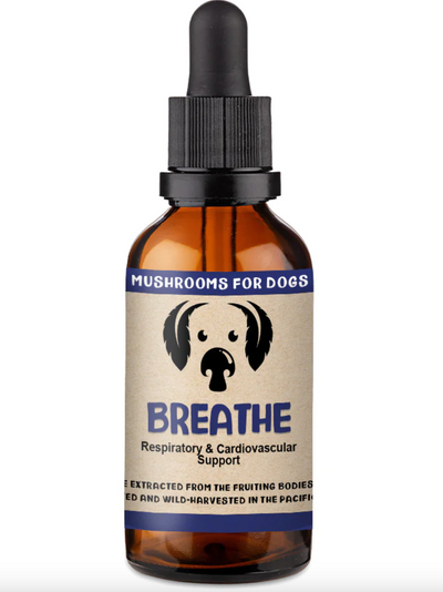 Mycodog Mushroom Tincture - Breathe | 2oz