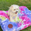 Roxbury Pet - Sunset Rectangle